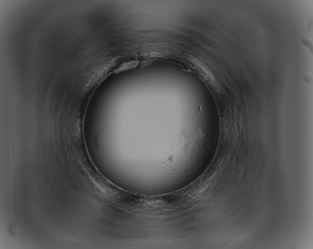 X0000093390401200710191158