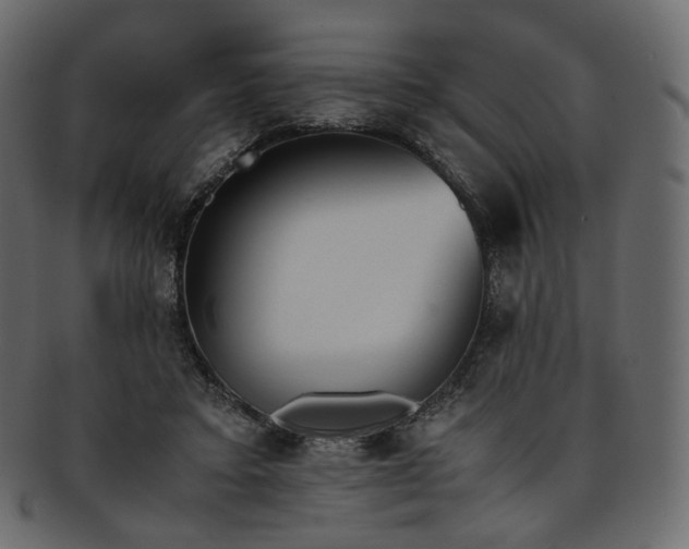 X0000093390403200710191157