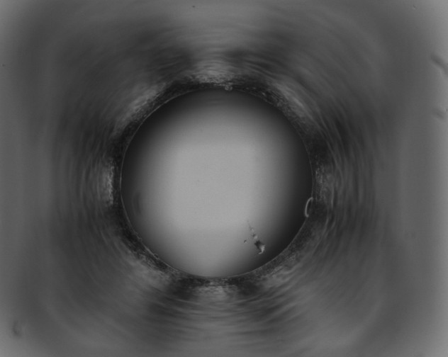 X0000093390404200710191157