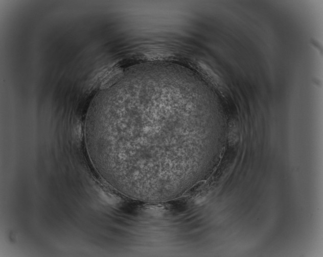X0000093390405200710191157