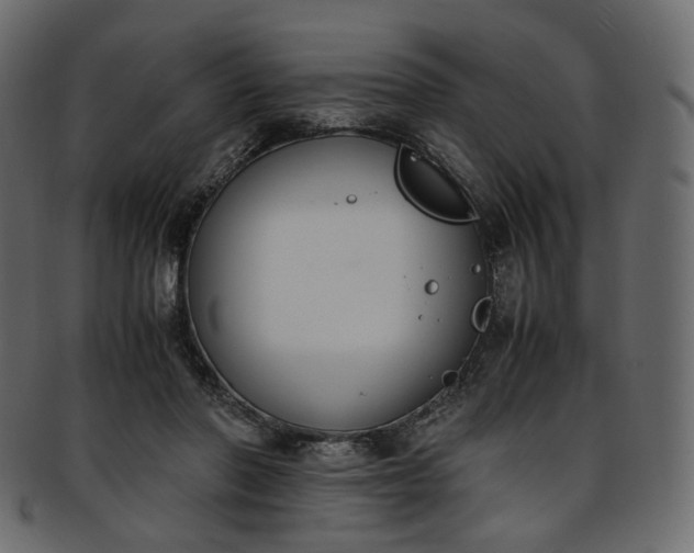 X0000093390406200710191157