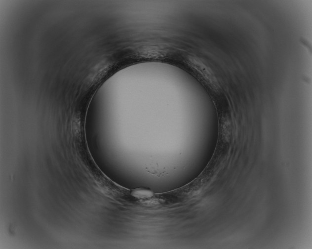 X0000093390407200710191157