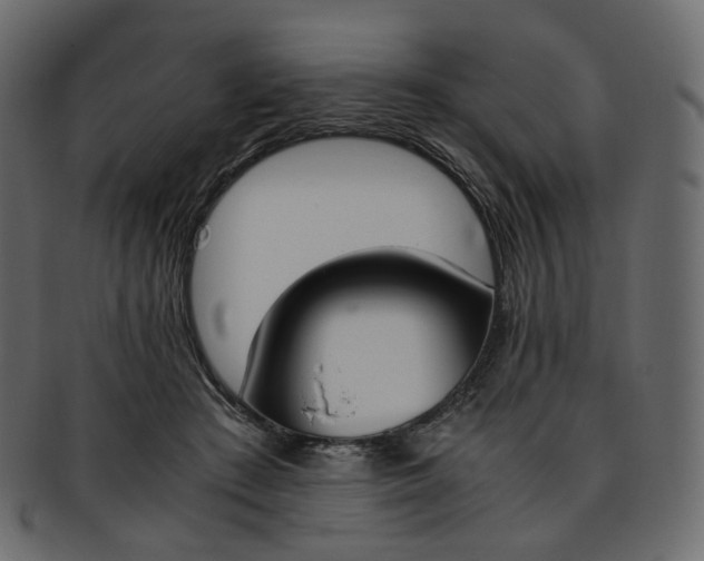 X0000093390409200710191157