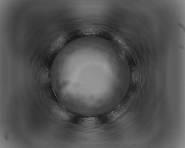 X0000093390411200710191157