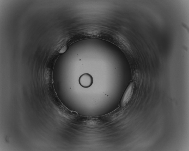 X0000093390412200710191157