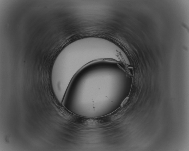 X0000093390413200710191157