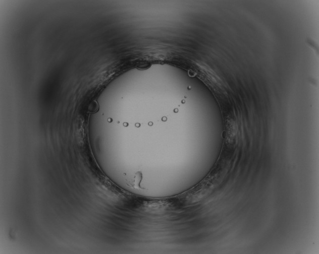 X0000093390414200710191157