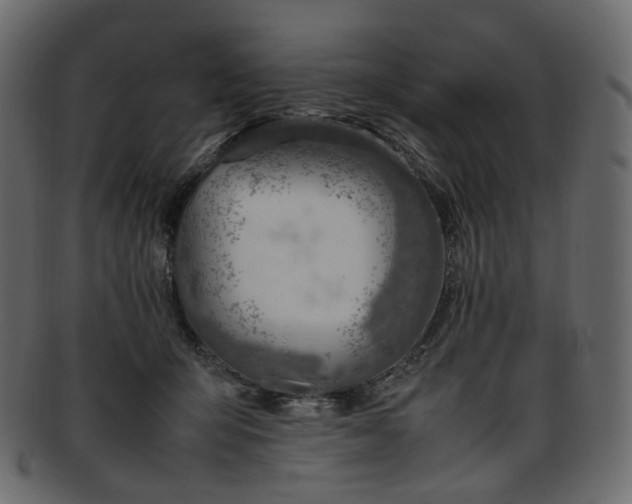 X0000093390415200710191157