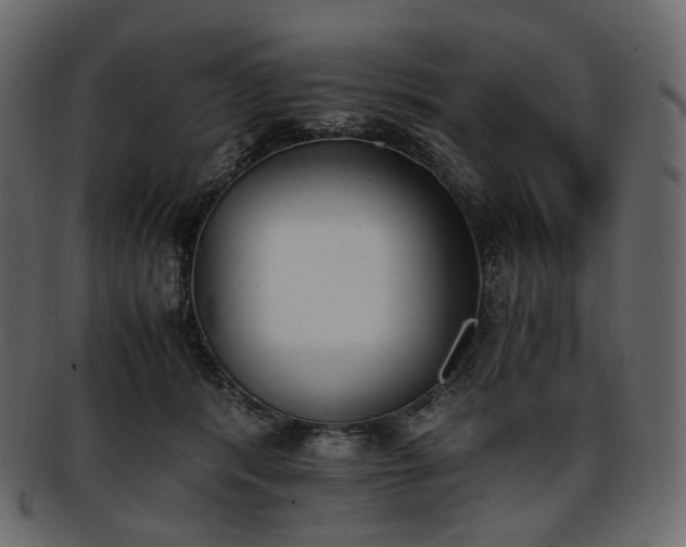 X0000093390416200710191157