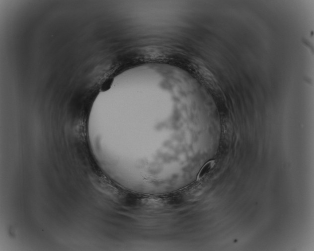 X0000093390419200710191157