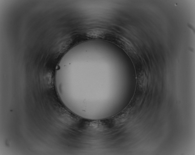 X0000093390420200710191157