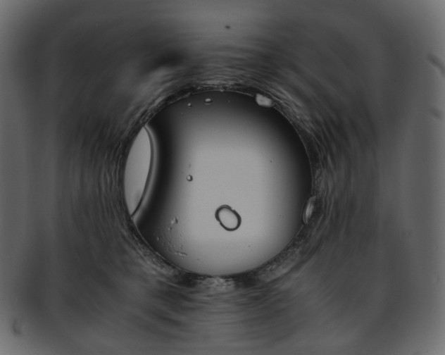 X0000093390421200710191157