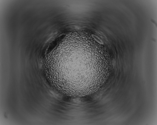 X0000093390423200710191157