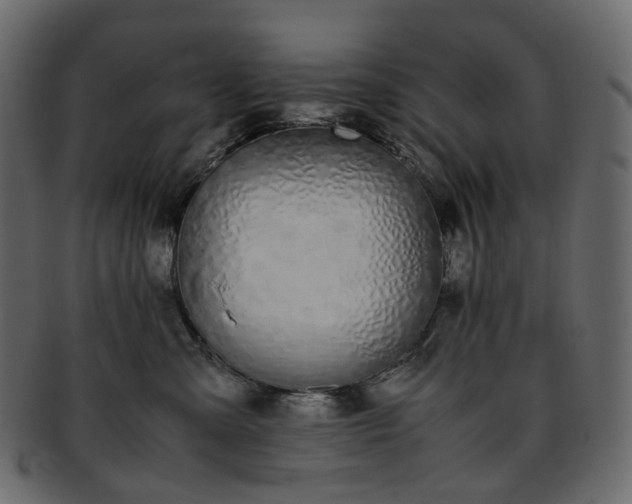 X0000093390427200710191157