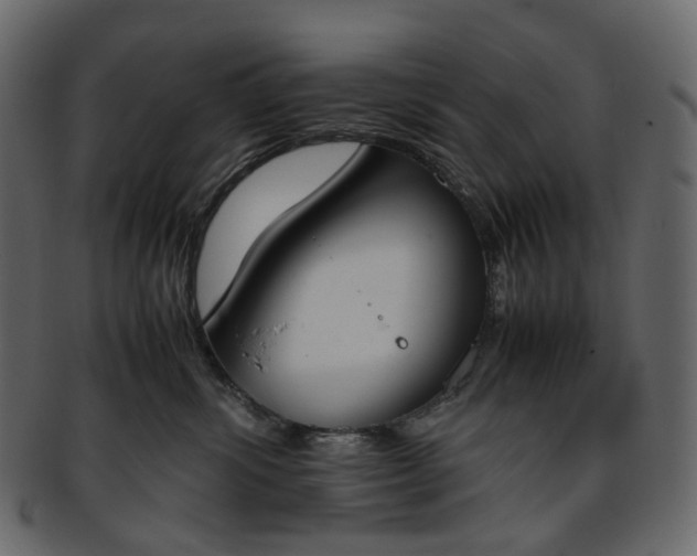 X0000093390428200710191157