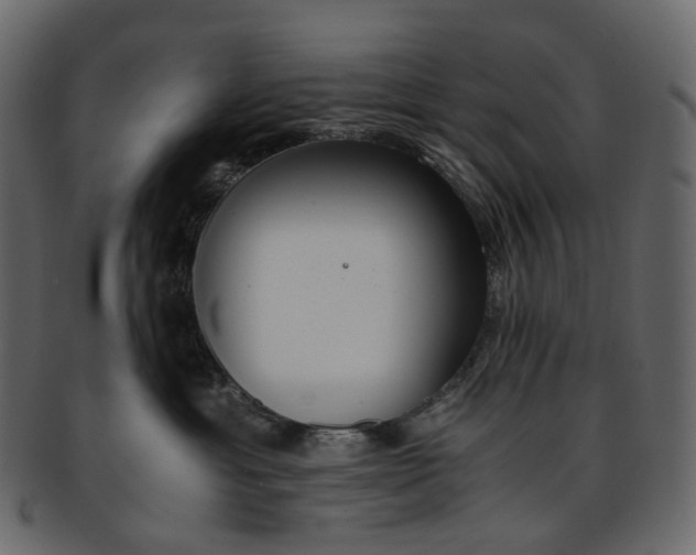 X0000093390429200710191157