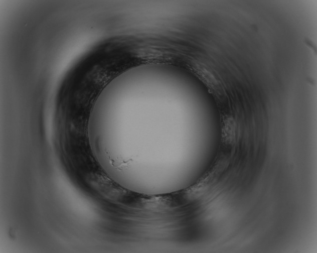 X0000093390430200710191157