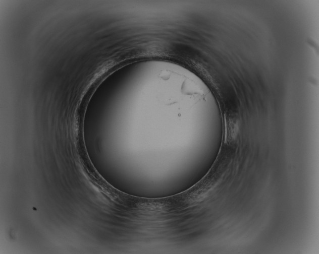 X0000093390435200710191157