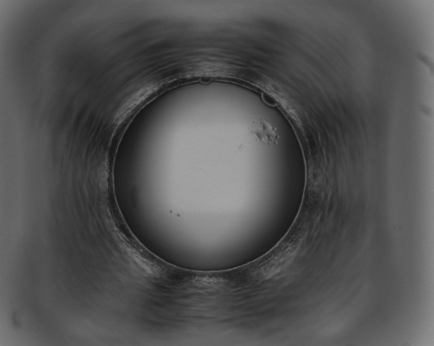 X0000093390437200710191157