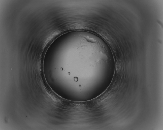 X0000093390438200710191157