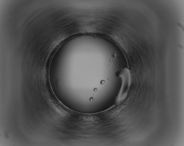 X0000093390439200710191157