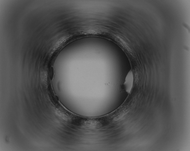 X0000093390444200710191157