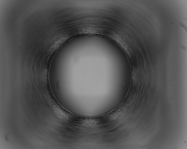 X0000093390445200710191157