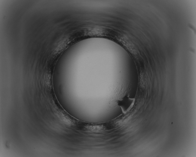 X0000093390449200710191157