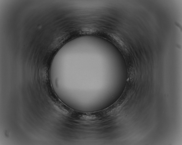 X0000093390455200710191157