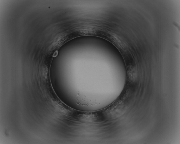 X0000093390458200710191157