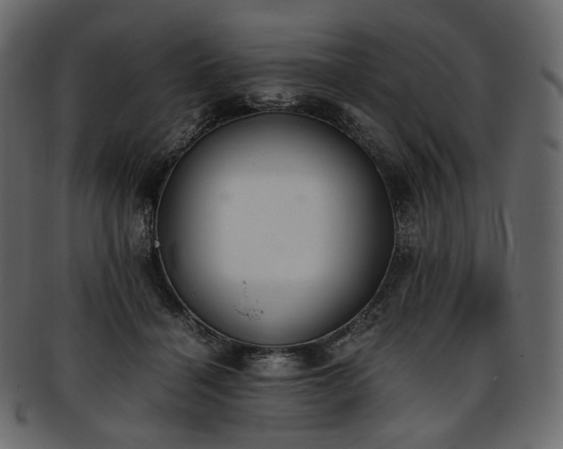 X0000093390460200710191157