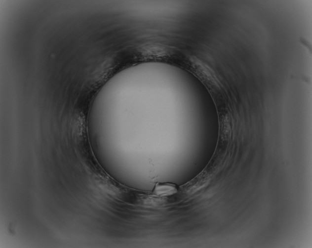 X0000093390463200710191157