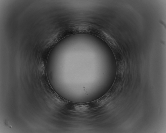 X0000093390465200710191157