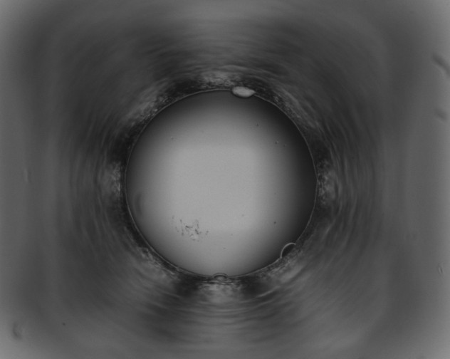 X0000093390466200710191157