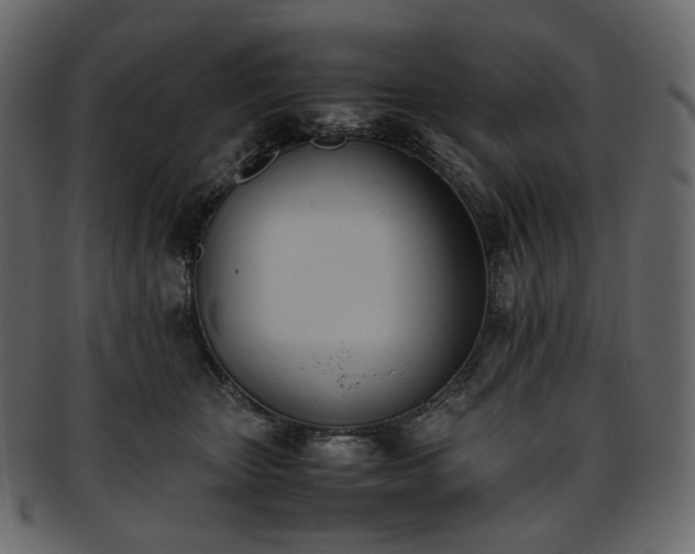 X0000093390467200710191157