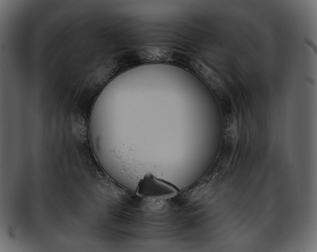 X0000093390469200710191157