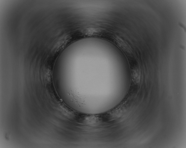 X0000093390470200710191157