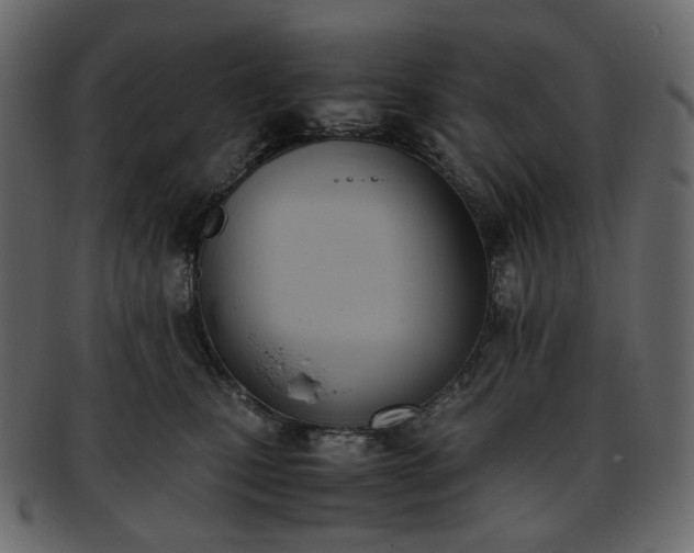 X0000093390471200710191157