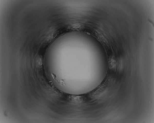 X0000093390472200710191157