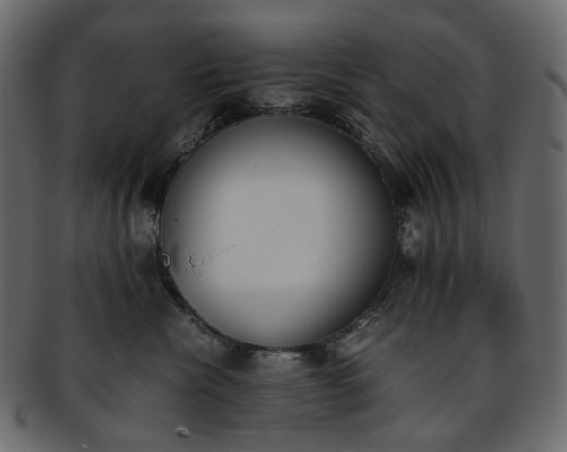 X0000093390476200710191157