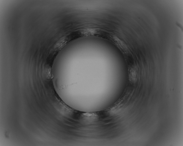 X0000093390477200710191157