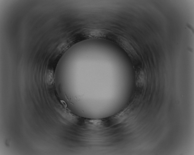 X0000093390478200710191157