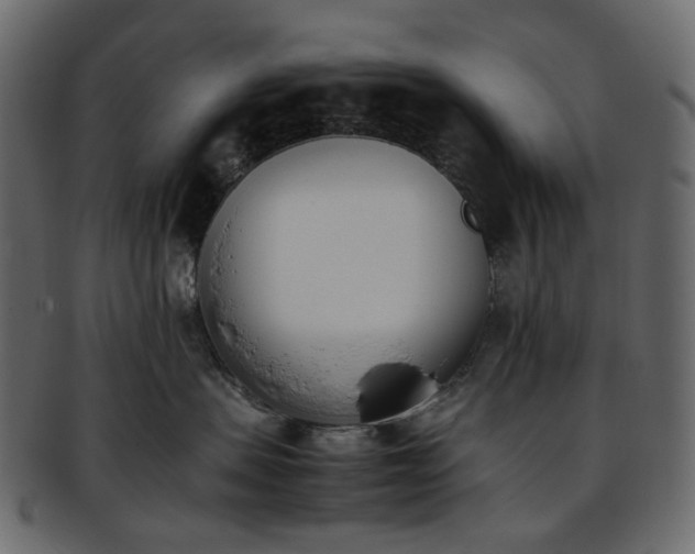 X0000093390479200710191157