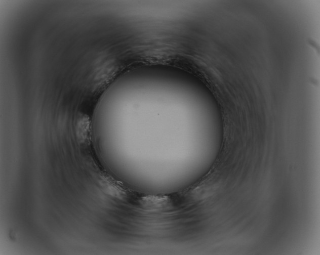 X0000093390480200710191157