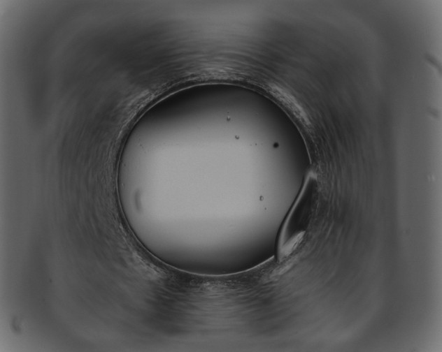 X0000093390481200710191157