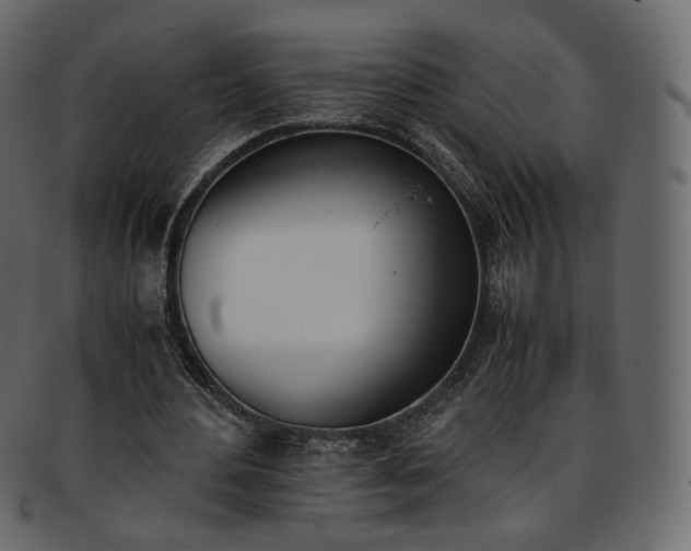 X0000093390484200710191157