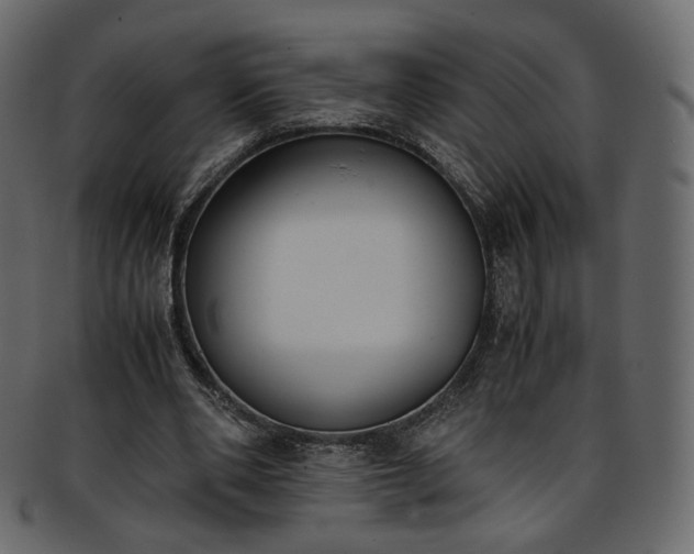 X0000093390486200710191157