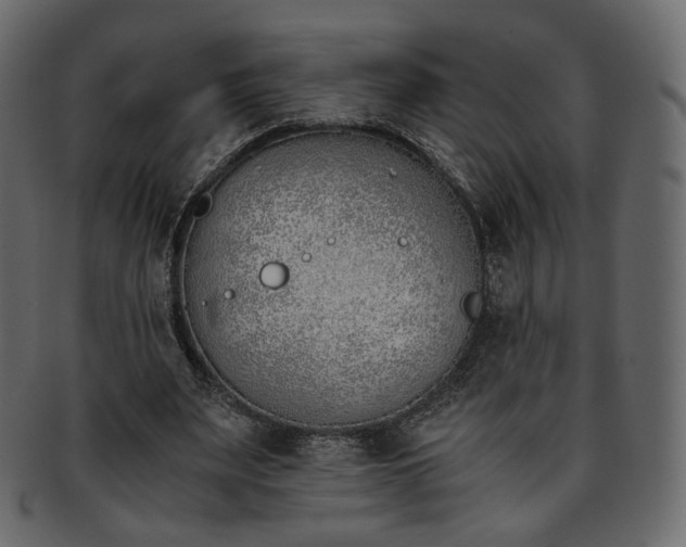 X0000093390487200710191157