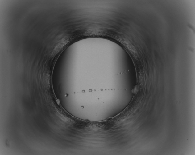 X0000093390489200710191156