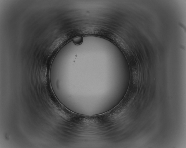 X0000093390490200710191156